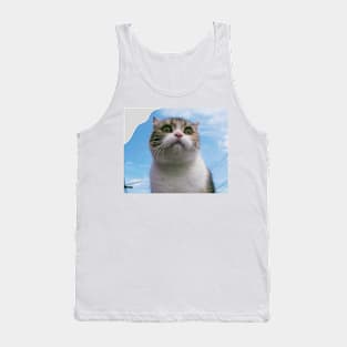 The chubby cute cats Tank Top